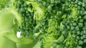 brocolli-small