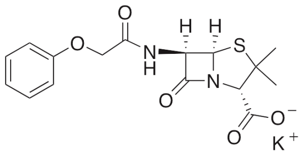 penicillin v potassium mechanism of action