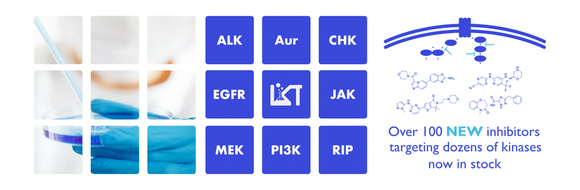 Banner_2019newinhibs