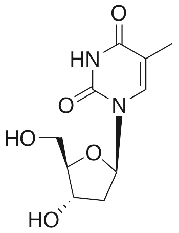 Тимидин. Тимин в тимидин. Тимидин строение. Тимидин 5 фосфат. Тимидин 3 фосфат формула.