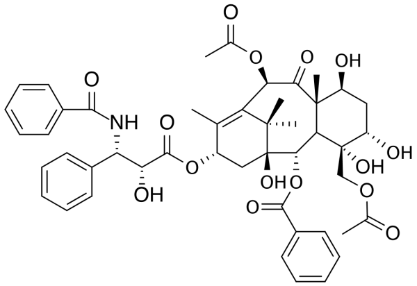 D-Seco Paclitaxel