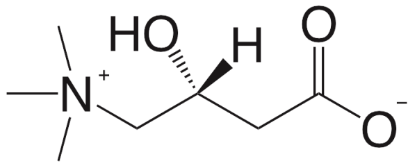 L-Carnitine