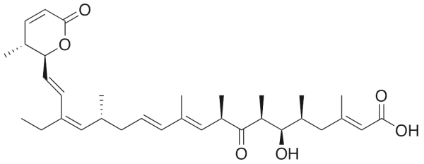 Leptomycin B