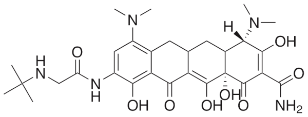 Tigecycline