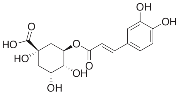 Chlorogenic Acid (from Lonicera)