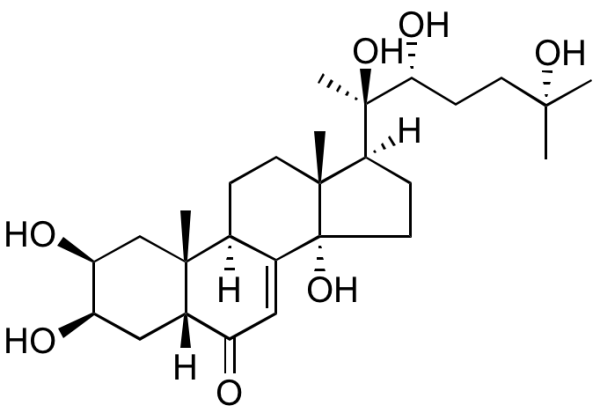 Ecdysterone