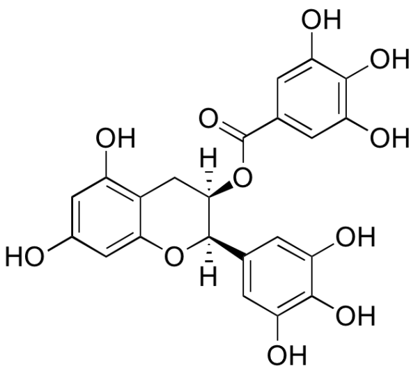 Epigallocatechin Gallate
