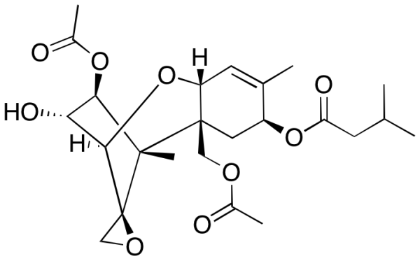T2 Toxin