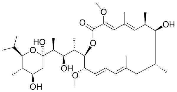 Bafilomycin A1