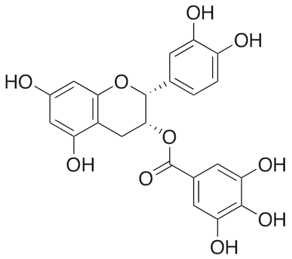 (−)-Epicatechin Gallate