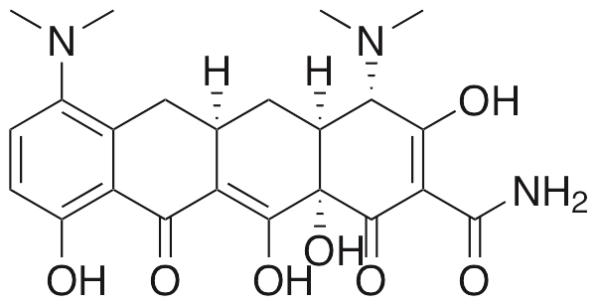 Minocycline Hydrochloride