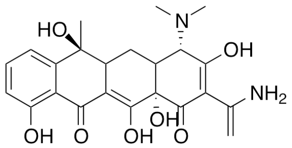 Tetracycline
