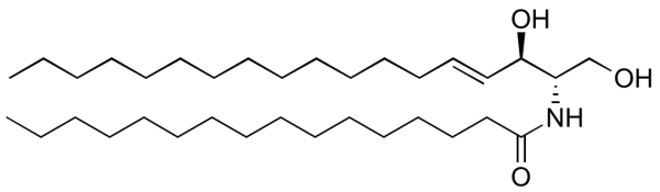Ceramide