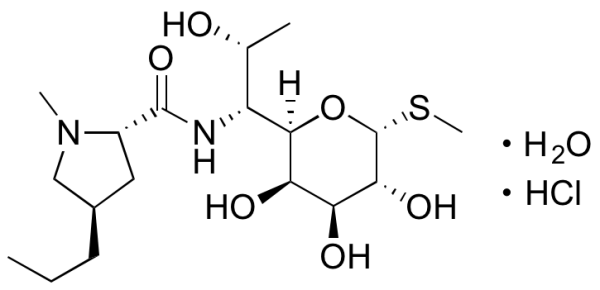 Lincomycin Hydrochloride Monohydrate