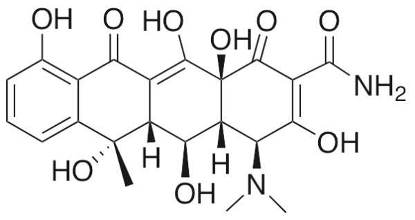 Oxytetracycline