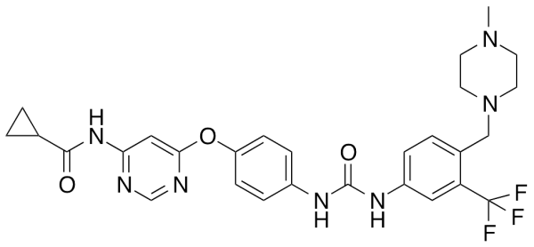 WS3
