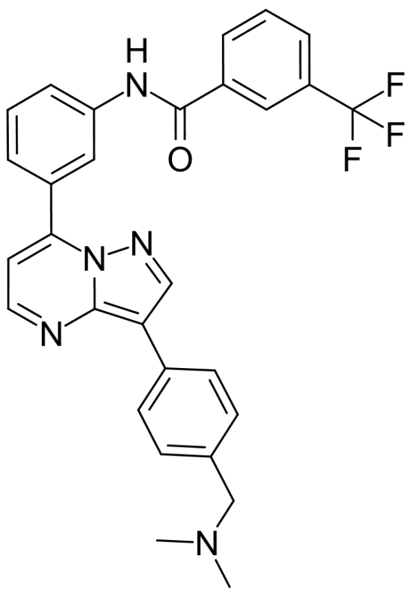 B-Raf IN 1