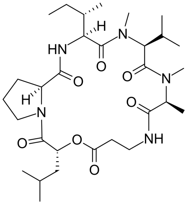 Destruxin B