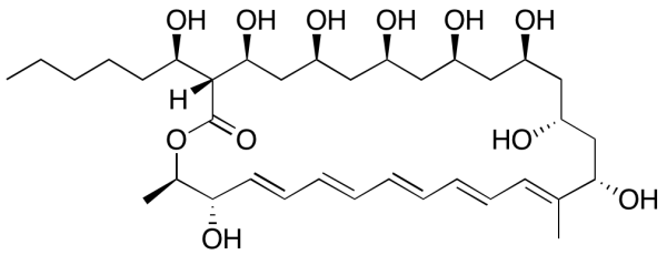 Filipin Complex