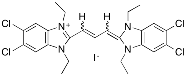 JC-1 Iodide