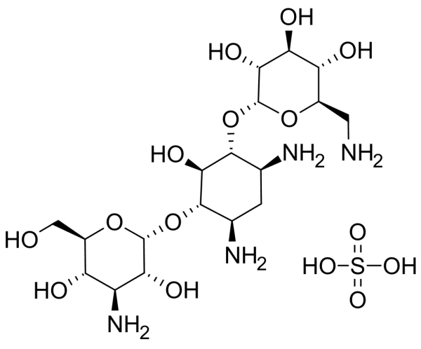 Kanamycin A Monosulfate
