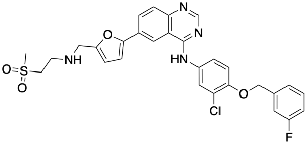 Lapatinib free base