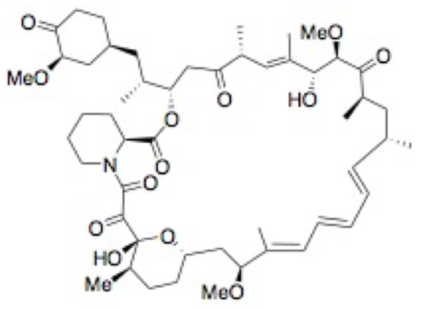 41-Oxo-rapamycin