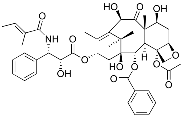 10-Deacetyltaxol B