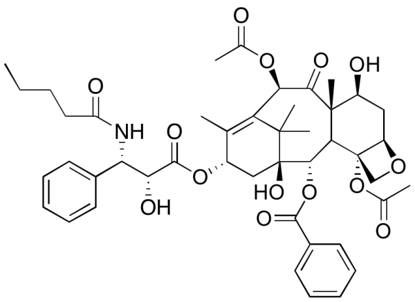n-Butyl Analog of Paclitaxel