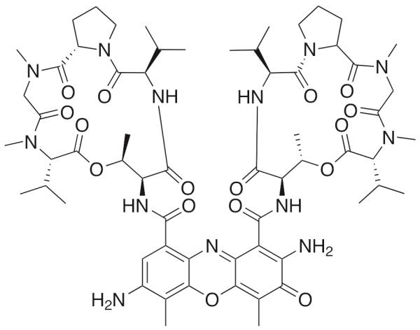 7-Aminoactinomycin D