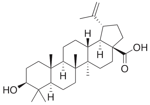 Betulinic Acid