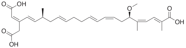 Bongkrekic Acid