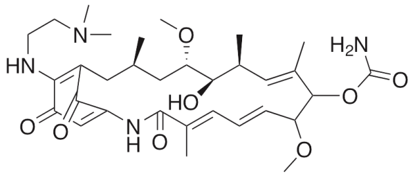 17-Dimethylaminoethylamino Demethoxygeldanamycin