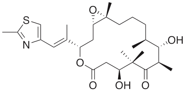 Epothilone B