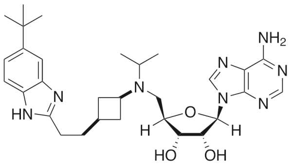 EPZ-5676