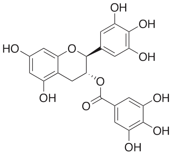 Gallocatechin Gallate