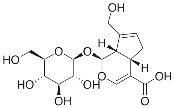 Geniposidic Acid