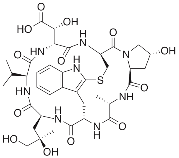 Phallacidin