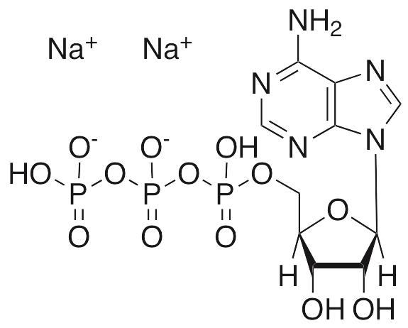 Adenosine Triphosphate Disodium Hydrate