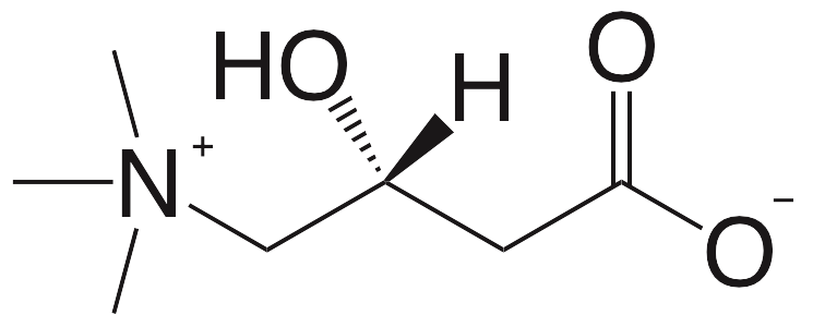 L-Carnitine