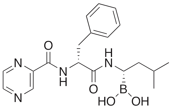 Bortezomib