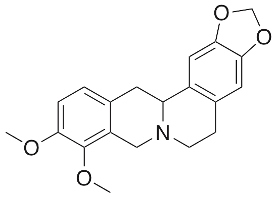 Tetrahydroberberine